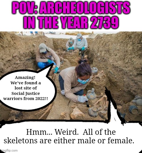I've received a meme from the future... | POV: ARCHEOLOGISTS IN THE YEAR 2739; Amazing!  We've found a lost site of Social Justice warriors from 2022!! Hmm... Weird.  All of the skeletons are either male or female. | image tagged in skeletons,male,female,social justice warriors,the future | made w/ Imgflip meme maker
