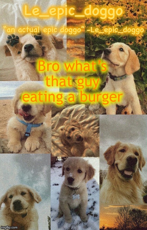 Doggo temp by doggo. Wait what that’s confusing | Bro what’s that guy eating a burger | image tagged in doggo temp by doggo wait what that s confusing | made w/ Imgflip meme maker
