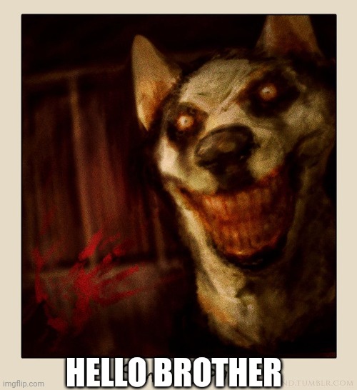 Smile Dog | HELLO BROTHER | image tagged in smile dog | made w/ Imgflip meme maker