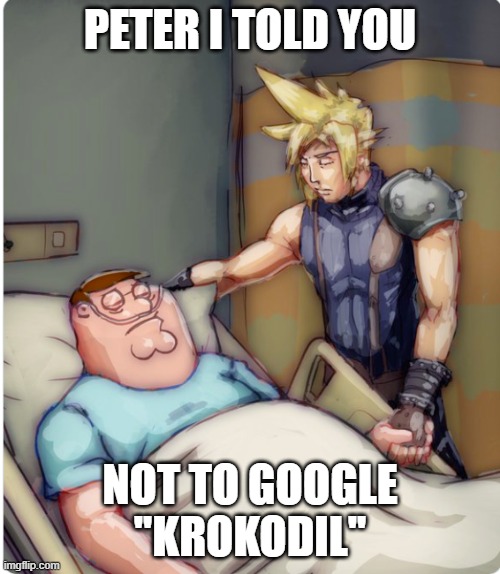 PETER I TOLD YOU | PETER I TOLD YOU; NOT TO GOOGLE ''KROKODIL'' | image tagged in peter i told you | made w/ Imgflip meme maker