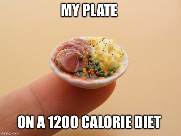 Tiny food | MY PLATE; ON A 1200 CALORIE DIET | image tagged in tiny food | made w/ Imgflip meme maker