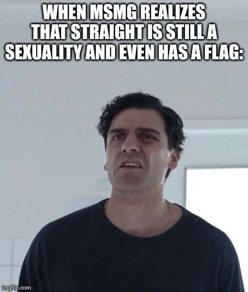 Confused Steven | WHEN MSMG REALIZES THAT STRAIGHT IS STILL A SEXUALITY AND EVEN HAS A FLAG: | image tagged in confused steven | made w/ Imgflip meme maker