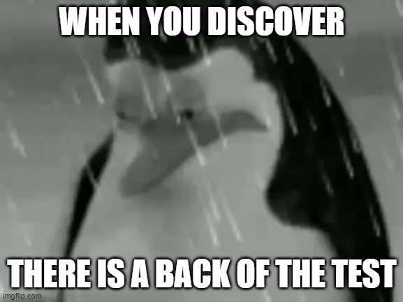 it hurts | WHEN YOU DISCOVER; THERE IS A BACK OF THE TEST | image tagged in sadge,school,penguin,stop reading the tags | made w/ Imgflip meme maker