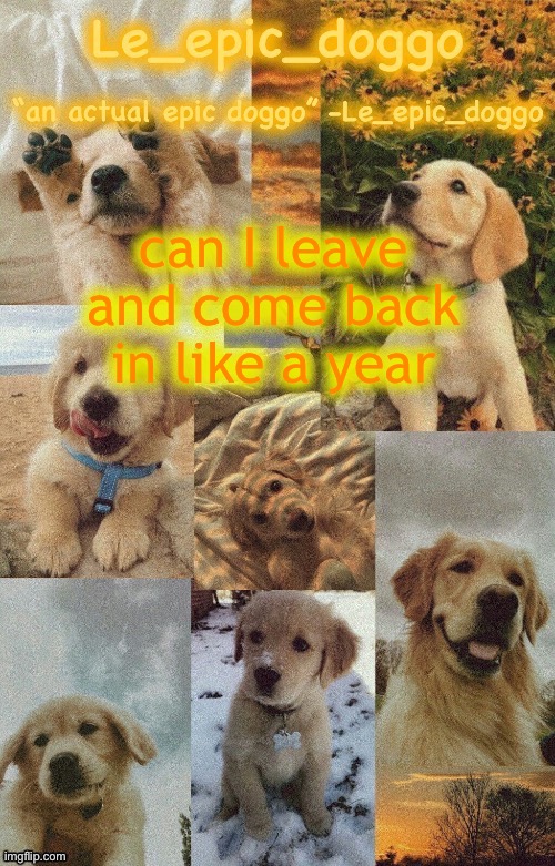 Doggo temp by doggo. Wait what that’s confusing | can I leave and come back in like a year | image tagged in doggo temp by doggo wait what that s confusing | made w/ Imgflip meme maker