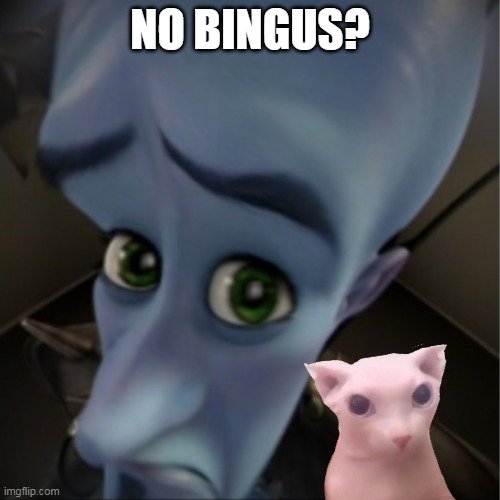  NO BINGUS? | image tagged in bingus | made w/ Imgflip meme maker