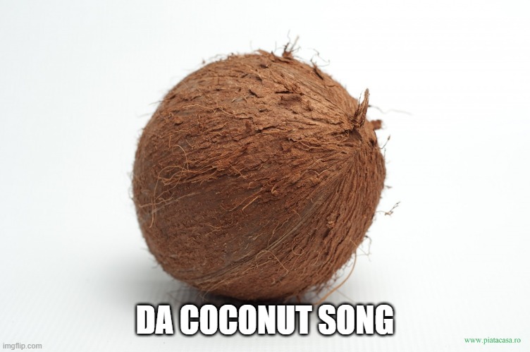 coconut | DA COCONUT SONG | image tagged in coconut | made w/ Imgflip meme maker