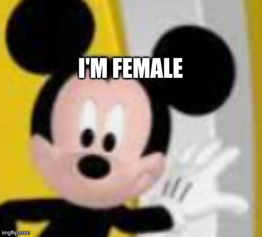 mickey mice | I'M FEMALE | image tagged in mickey mice | made w/ Imgflip meme maker