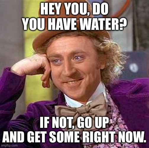 Thank me later | HEY YOU, DO YOU HAVE WATER? IF NOT, GO UP AND GET SOME RIGHT NOW. | image tagged in memes,creepy condescending wonka | made w/ Imgflip meme maker