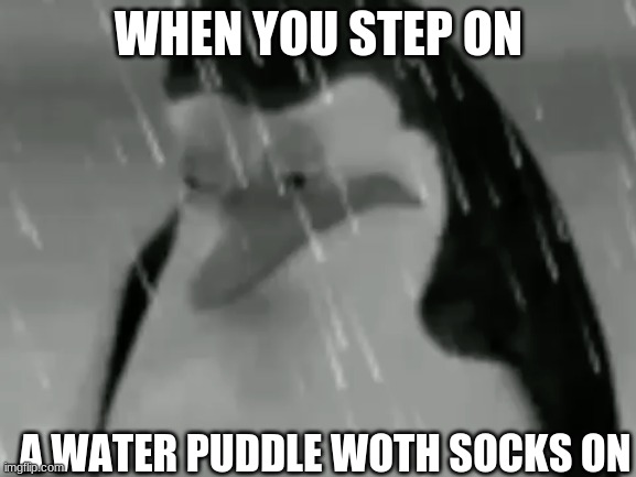 i hate it. | WHEN YOU STEP ON; A WATER PUDDLE WOTH SOCKS ON | image tagged in sadge | made w/ Imgflip meme maker
