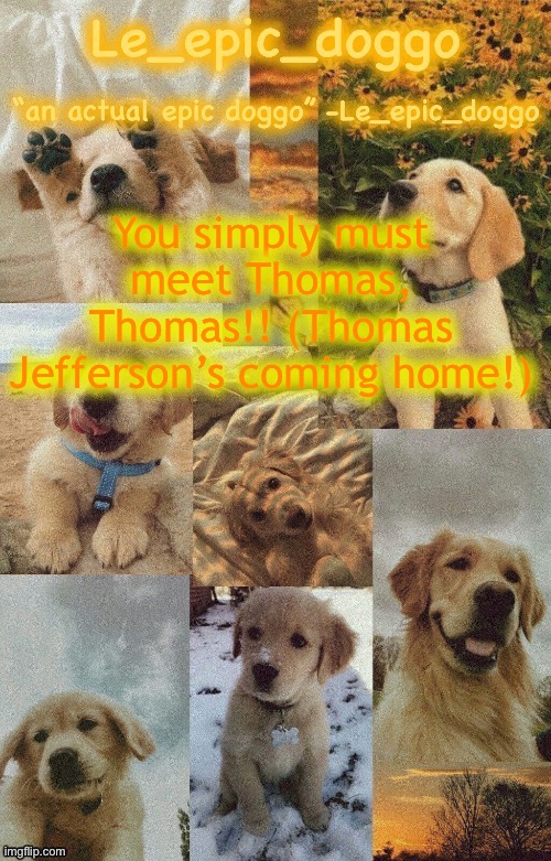 Doggo temp by doggo. Wait what that’s confusing | You simply must meet Thomas, Thomas!! (Thomas Jefferson’s coming home!) | image tagged in doggo temp by doggo wait what that s confusing | made w/ Imgflip meme maker