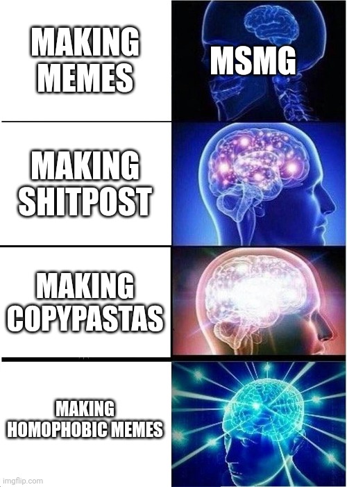 Idfk | MSMG; MAKING MEMES; MAKING SHITPOST; MAKING COPYPASTAS; MAKING HOMOPHOBIC MEMES | image tagged in memes,expanding brain | made w/ Imgflip meme maker