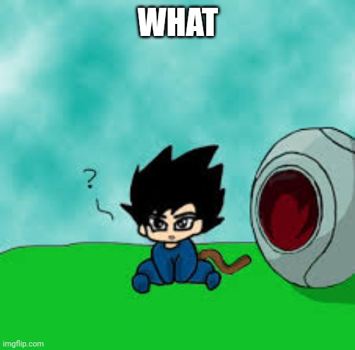 Vegeta is confused | WHAT | image tagged in vegeta is confused | made w/ Imgflip meme maker