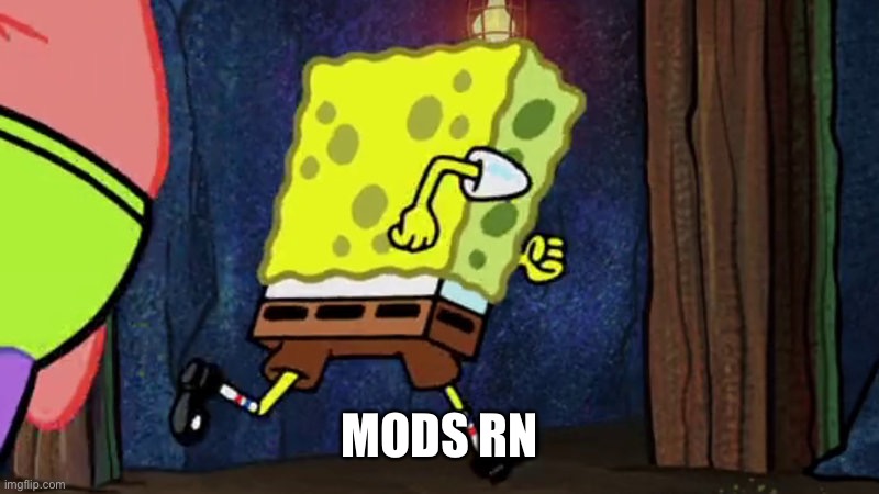 Stop deleting idiots | MODS RN | image tagged in spongebob running,mods,imgflip users,msm | made w/ Imgflip meme maker