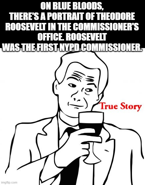True Story Meme | ON BLUE BLOODS, THERE'S A PORTRAIT OF THEODORE ROOSEVELT IN THE COMMISSIONER'S OFFICE. ROOSEVELT WAS THE FIRST NYPD COMMISSIONER. | image tagged in memes,true story | made w/ Imgflip meme maker