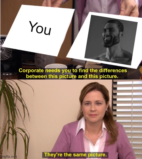 They're The Same Picture | You | image tagged in memes,they're the same picture | made w/ Imgflip meme maker