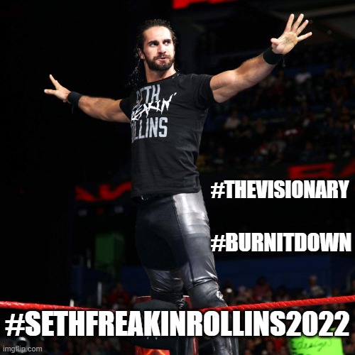 next username: Not.SethRollins | #THEVISIONARY; #BURNITDOWN; #SETHFREAKINROLLINS2022 | image tagged in seth rollins | made w/ Imgflip meme maker