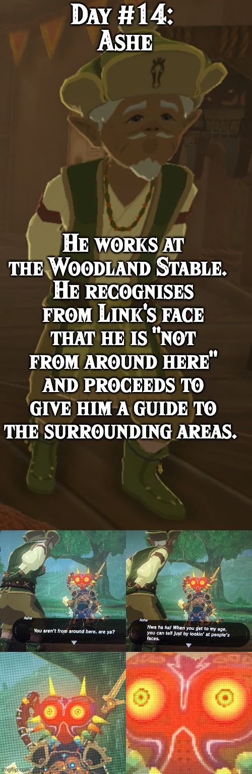 BoTW NPCs until BoTW2. Day #14: Ashe | Day #14: 
Ashe; He works at the Woodland Stable.  
He recognises from Link's face that he is "not from around here" and proceeds to give him a guide to the surrounding areas. | image tagged in one npc every day,the legend of zelda breath of the wild | made w/ Imgflip meme maker