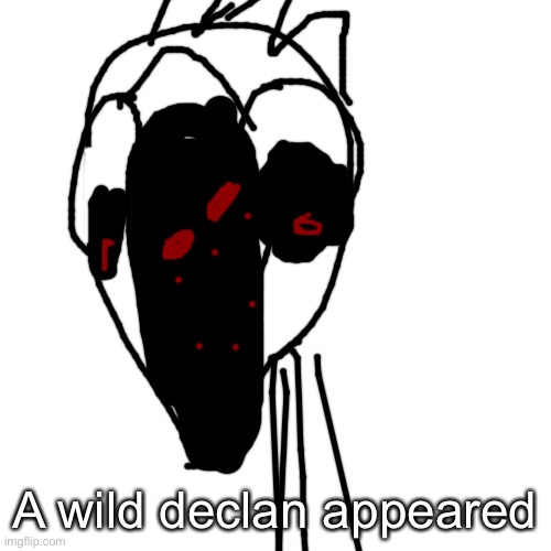 Blank Transparent Square | A wild declan appeared | image tagged in memes,blank transparent square | made w/ Imgflip meme maker