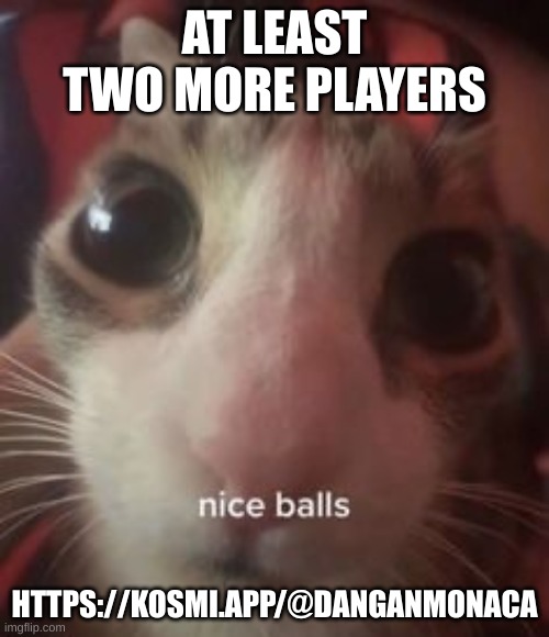 https://kosmi.app/@danganmonaca | AT LEAST TWO MORE PLAYERS; HTTPS://KOSMI.APP/@DANGANMONACA | image tagged in nice balls cat | made w/ Imgflip meme maker