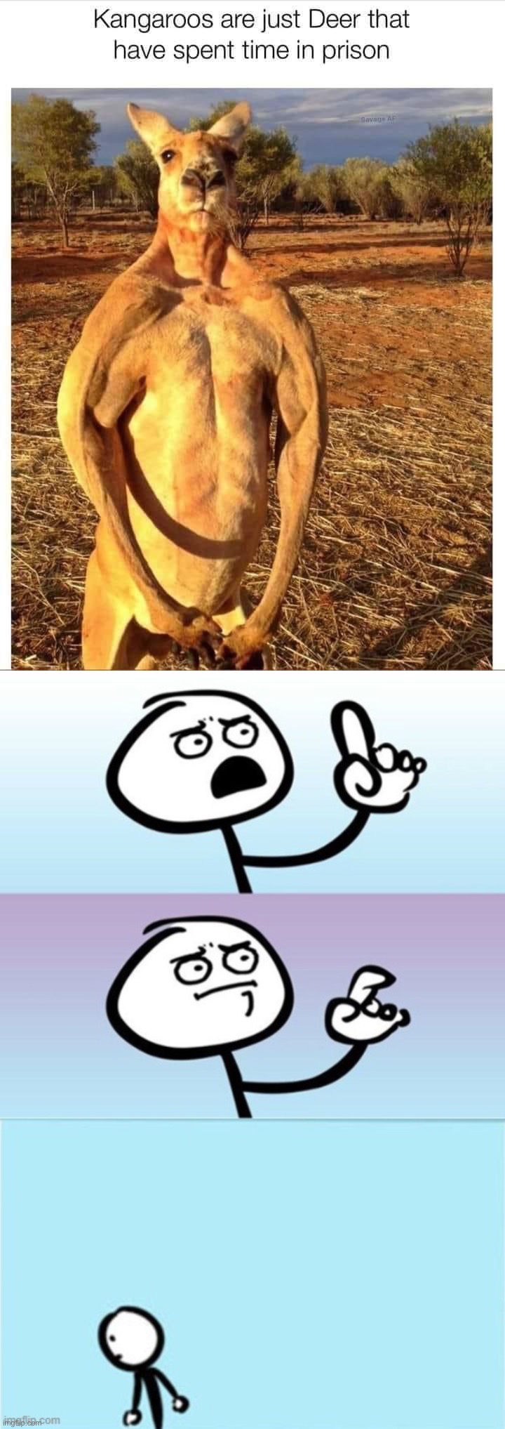 image tagged in kangaroos are prison deer,can't argue with that / technically not wrong 3-panel redux | made w/ Imgflip meme maker