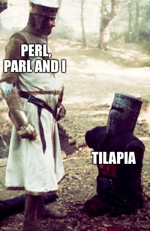 black knight | PERL, PARL AND I TILAPIA | image tagged in black knight | made w/ Imgflip meme maker