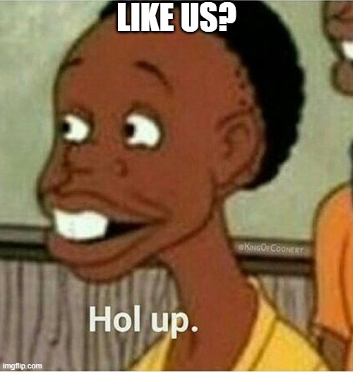 hol up | LIKE US? | image tagged in hol up | made w/ Imgflip meme maker