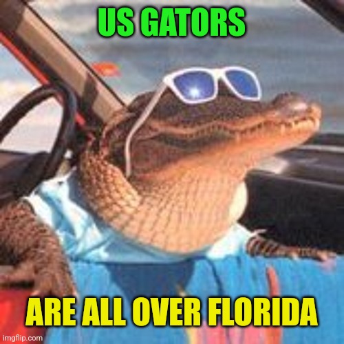 Cool Gator | US GATORS ARE ALL OVER FLORIDA | image tagged in cool gator | made w/ Imgflip meme maker