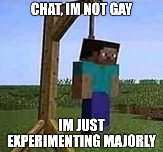 hang myself | CHAT, IM NOT GAY; IM JUST EXPERIMENTING MAJORLY | image tagged in hang myself | made w/ Imgflip meme maker