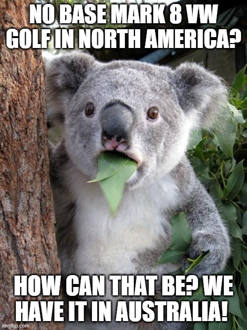 Surprised Koala Mark 8 Golf | NO BASE MARK 8 VW GOLF IN NORTH AMERICA? HOW CAN THAT BE? WE HAVE IT IN AUSTRALIA! | image tagged in memes,surprised koala,vw golf,golf 8,bring the base mark 8 golf to north america | made w/ Imgflip meme maker