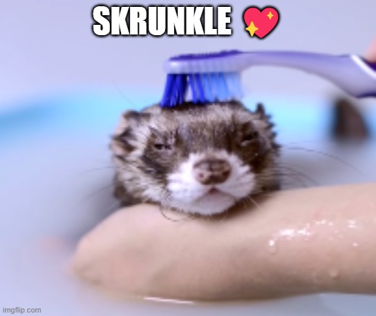 SKRUNKLE 💖 | made w/ Imgflip meme maker