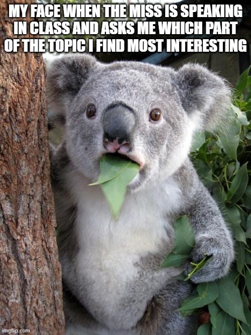 meme presente progressive | MY FACE WHEN THE MISS IS SPEAKING IN CLASS AND ASKS ME WHICH PART OF THE TOPIC I FIND MOST INTERESTING | image tagged in memes,surprised koala | made w/ Imgflip meme maker