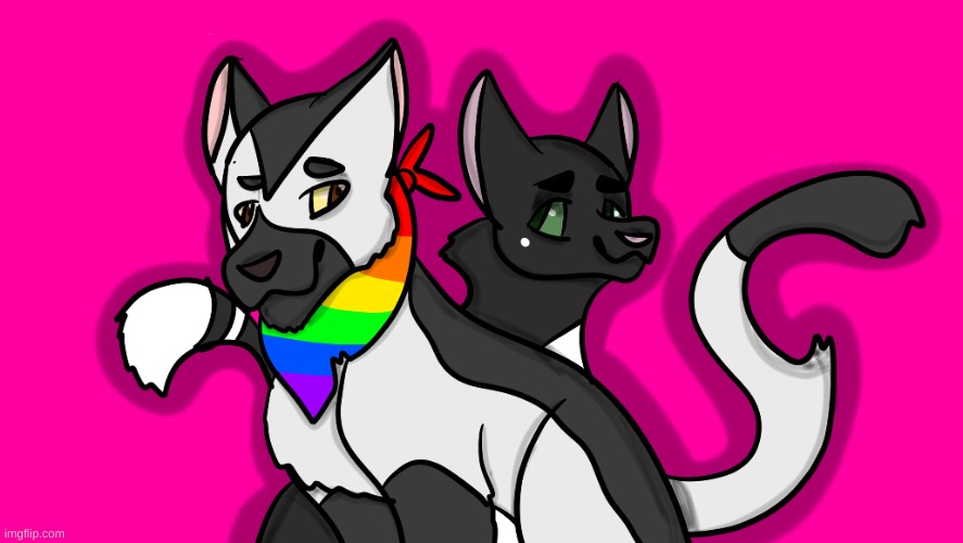 These are 2 characters from the warrior cats series that I drew for pride month! | image tagged in gay pride,warrior cats | made w/ Imgflip meme maker