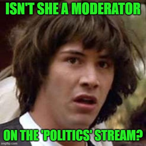 Conspiracy Keanu Meme | ISN'T SHE A MODERATOR ON THE 'POLITICS' STREAM? | image tagged in memes,conspiracy keanu | made w/ Imgflip meme maker