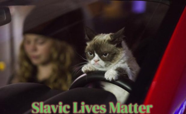 Grumpy Cat Driving | Slavic Lives Matter | image tagged in grumpy cat driving,slavic,freddie fingaz,blacklabel jedih | made w/ Imgflip meme maker