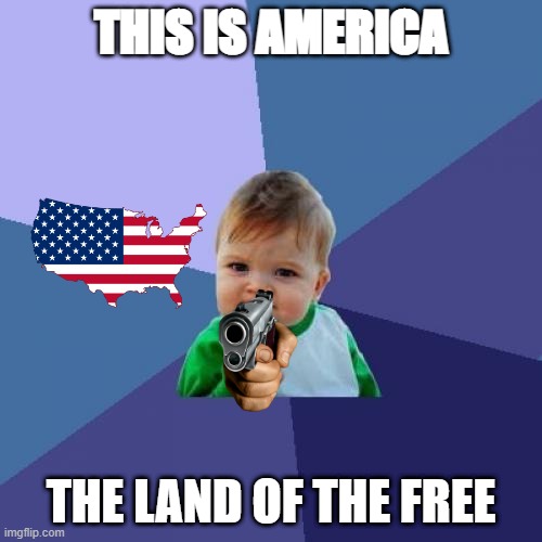 the land of the free to kill | THIS IS AMERICA; THE LAND OF THE FREE | image tagged in memes,success kid | made w/ Imgflip meme maker