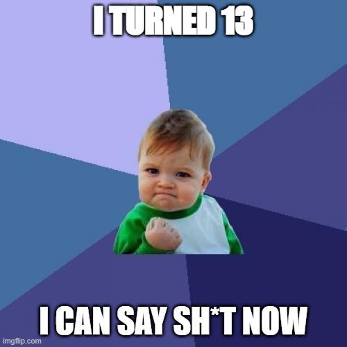getting old | I TURNED 13; I CAN SAY SH*T NOW | image tagged in memes,success kid | made w/ Imgflip meme maker