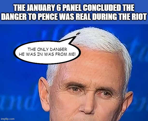 False Alarm | THE JANUARY 6 PANEL CONCLUDED THE DANGER TO PENCE WAS REAL DURING THE RIOT; THE ONLY DANGER HE WAS IN WAS FROM ME! | image tagged in pence fly | made w/ Imgflip meme maker