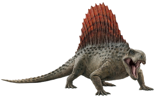Dimetrodon (JWD Design) Blank Meme Template