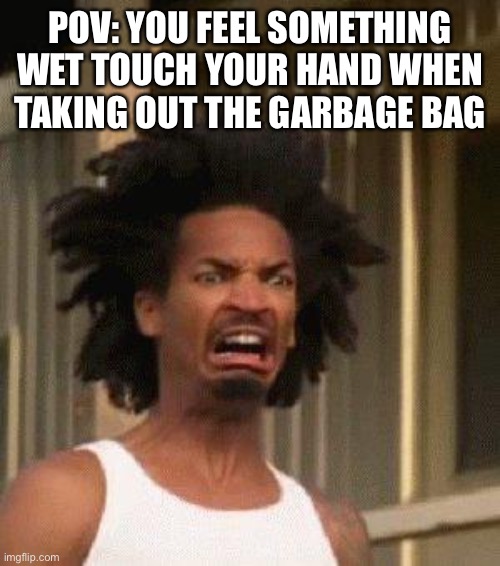 Why is it wet tho | POV: YOU FEEL SOMETHING WET TOUCH YOUR HAND WHEN TAKING OUT THE GARBAGE BAG | image tagged in disgusted face | made w/ Imgflip meme maker