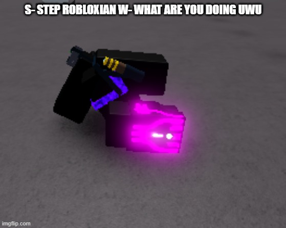 S- STEP ROBLOXIAN W- WHAT ARE YOU DOING UWU | made w/ Imgflip meme maker