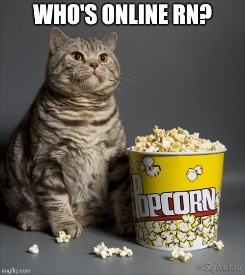 Cat eating popcorn | WHO'S ONLINE RN? | image tagged in cat eating popcorn | made w/ Imgflip meme maker