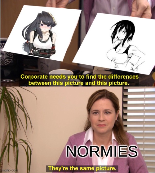 Komi vs Hitomi | NORMIES | image tagged in memes,they're the same picture | made w/ Imgflip meme maker