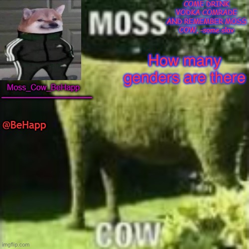 Moss_Cow_BeHapp's announcement templates | How many genders are there | image tagged in moss_cow_behapp's announcement templates | made w/ Imgflip meme maker