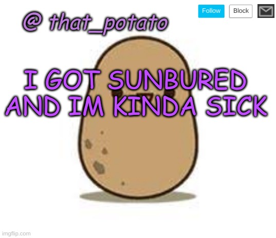 helpppp | I GOT SUNBURED AND IM KINDA SICK | image tagged in that_potato's announcement meme | made w/ Imgflip meme maker