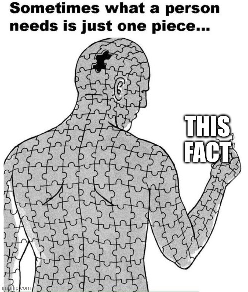 Sometimes what a person needs is just one piece | THIS FACT | image tagged in sometimes what a person needs is just one piece | made w/ Imgflip meme maker