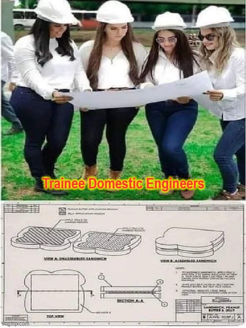 Blueprint | Trainee Domestic Engineers | image tagged in make me a sandwich | made w/ Imgflip meme maker