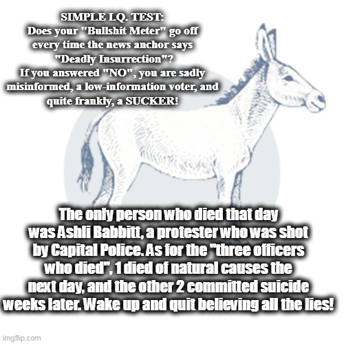 Fools | SIMPLE I.Q. TEST:
Does your "Bullshit Meter" go off
every time the news anchor says
 "Deadly Insurrection"?
If you answered "NO", you are sadly
misinformed, a low-information voter, and
quite frankly, a SUCKER! The only person who died that day was Ashli Babbitt, a protester who was shot by Capital Police. As for the "three officers who died", 1 died of natural causes the next day, and the other 2 committed suicide weeks later. Wake up and quit believing all the lies! | made w/ Imgflip meme maker