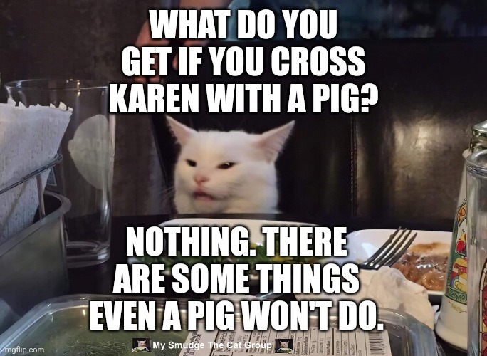 WHAT DO YOU GET IF YOU CROSS KAREN WITH A PIG? NOTHING. THERE ARE SOME THINGS EVEN A PIG WON'T DO. | image tagged in smudge the cat | made w/ Imgflip meme maker