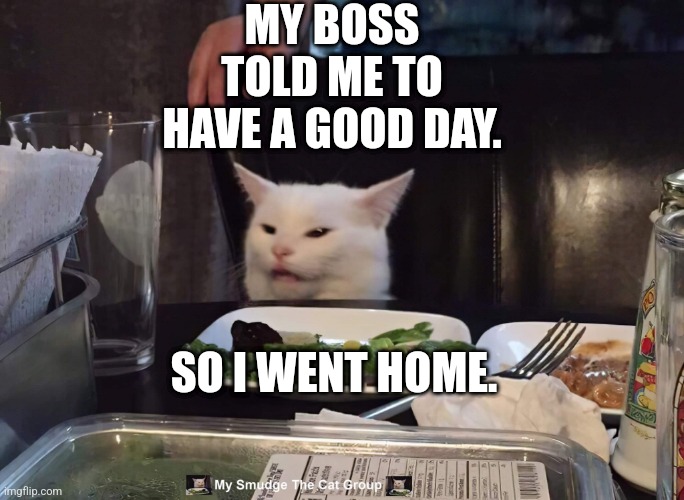 MY BOSS TOLD ME TO HAVE A GOOD DAY. SO I WENT HOME. | image tagged in smudge the cat | made w/ Imgflip meme maker