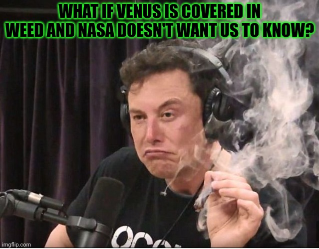 Deep thoughts | WHAT IF VENUS IS COVERED IN WEED AND NASA DOESN'T WANT US TO KNOW? | image tagged in elon musk smoking a joint,deep thoughts | made w/ Imgflip meme maker